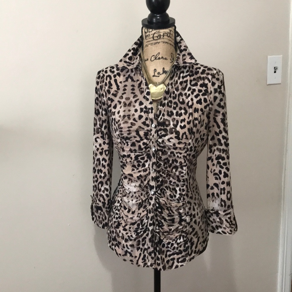 CHEETAH DESIGN  INC INTERNATIONAL CONCEPTS